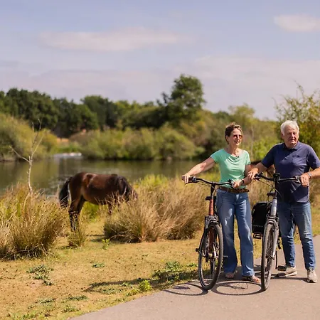 Loft 8 Hébergement de vacances